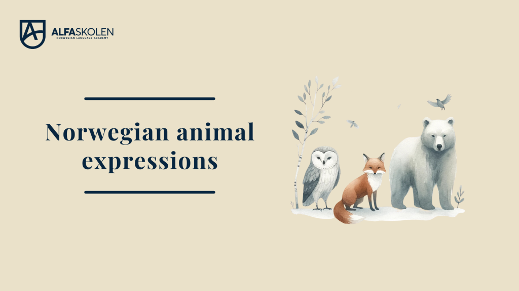 Norwegian Animal Expressions