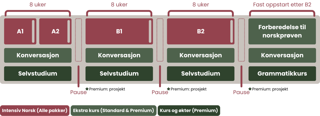 Oversikt over progresjon fra A1, A2 eller B1 til B2 gjennom strukturerte 8-ukers moduler med nivågjennomganger.