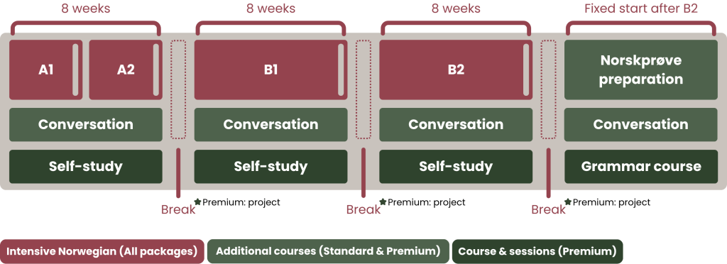 Overview of progression from A1, A2, or B1 to B2 through structured 8-week modules with level check-ins.